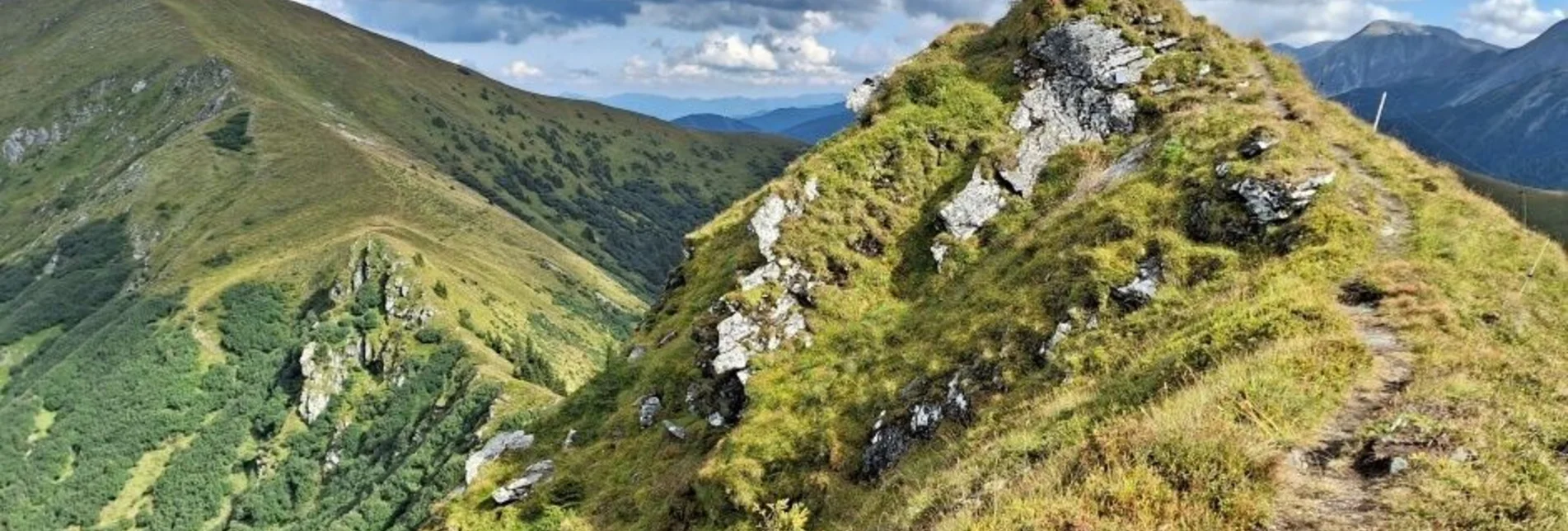 Wanderung Auf den Himmelkogel über Griesmoarkogel - Touren-Impression #1 | © Weges OG