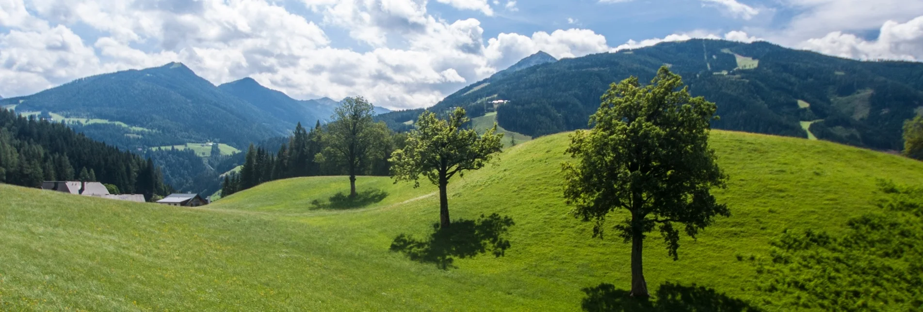 Wanderung Dörferrunde - Touren-Impression #1 | © Gerhard Pilz - www.gpic.at
