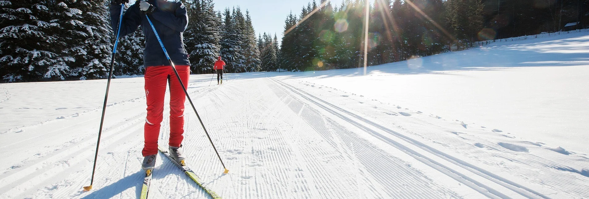 Ski nordic skating Hochmoor cross-country ski trail, Teichalm, Almenland - Touren-Impression #1 | © Oststeiermark Tourismus