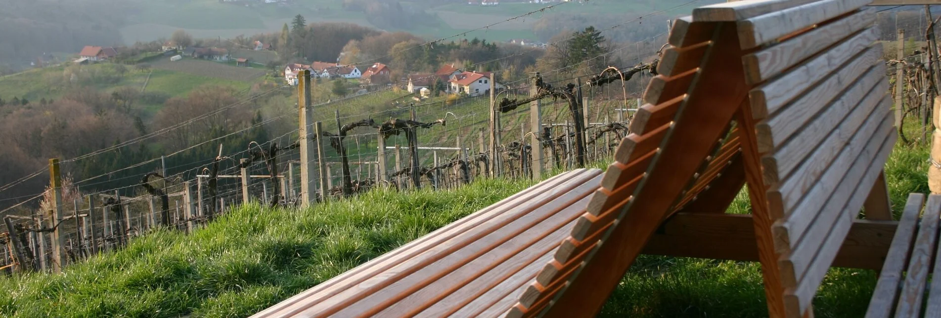 Wanderung Genusstour (Panoramaweg) Fehring - Touren-Impression #1 | © Stadtgemeinde Fehring