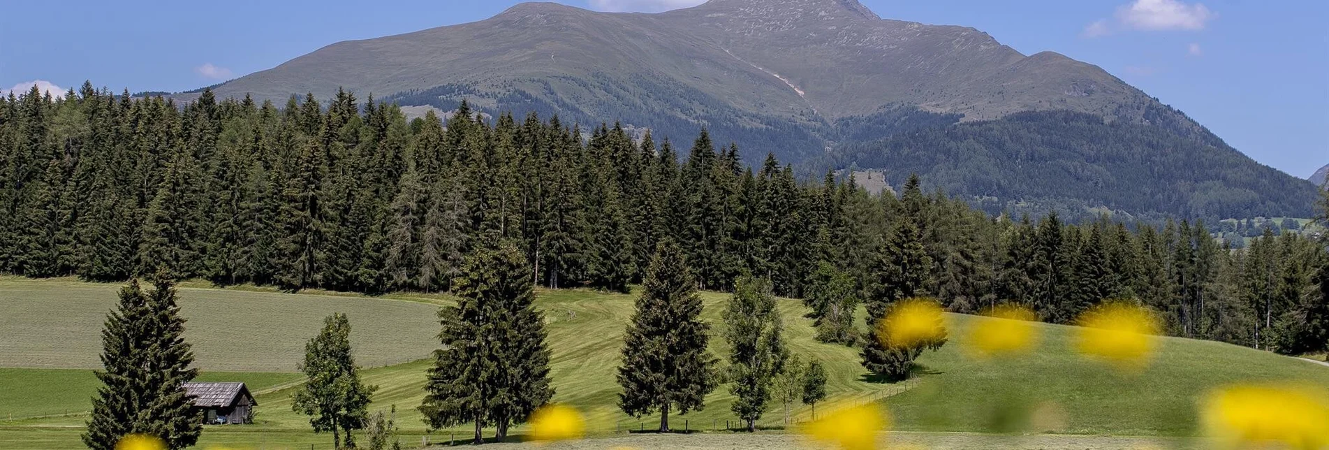 Mountainbike Greimhütte - Touren-Impression #1 | © Tourismusverband Murau
