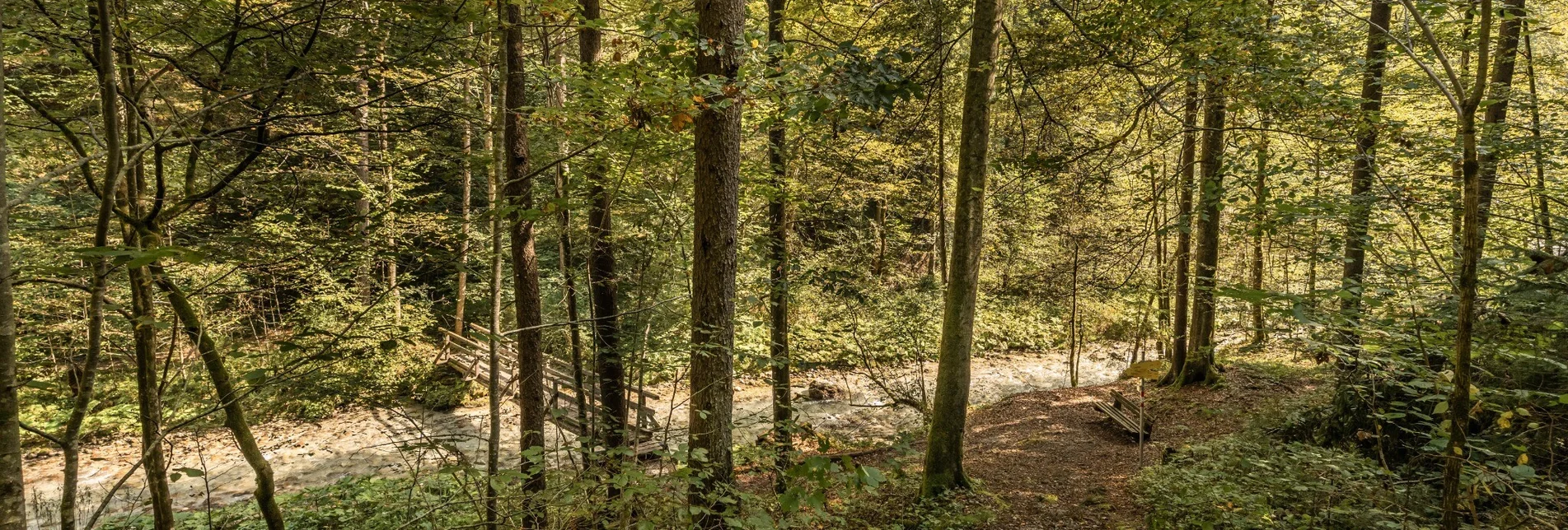 Nordic Walking Zinkgraben Laufrunde - Touren-Impression #1