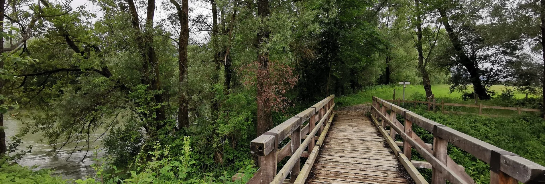 Wanderung Rundwanderung zum Wasserplatz an der Enns - Touren-Impression #1