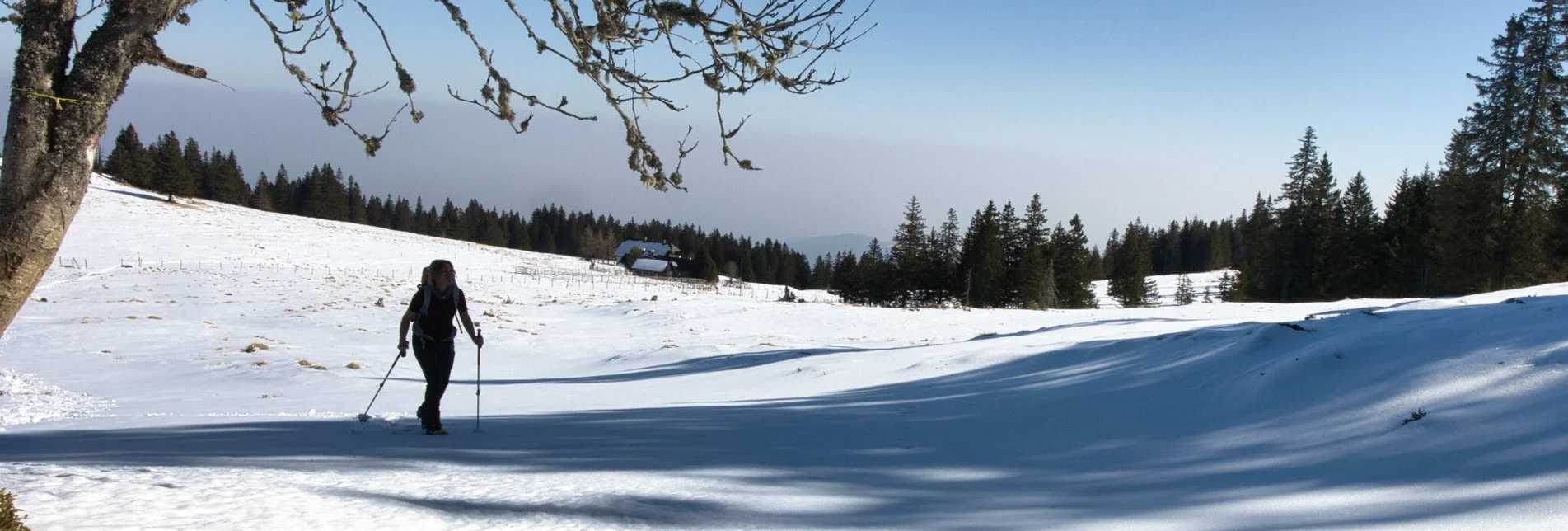 Snowshoe walking Schneeschuhwandern Glitzalm - Touren-Impression #1 | © Weges OG