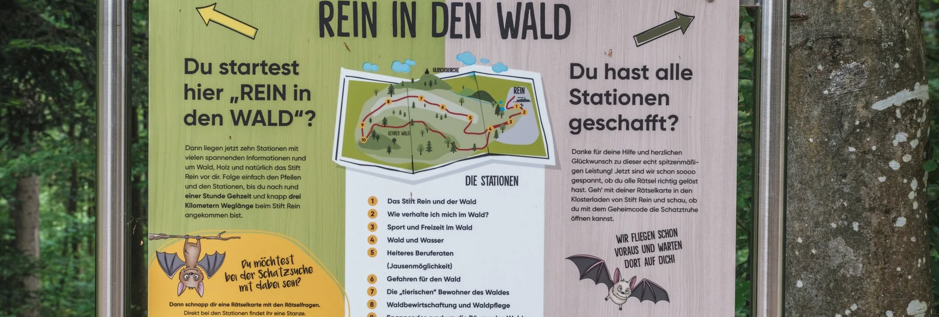 Wanderung Rein in den Wald - ein Erlebnispfad - Touren-Impression #1