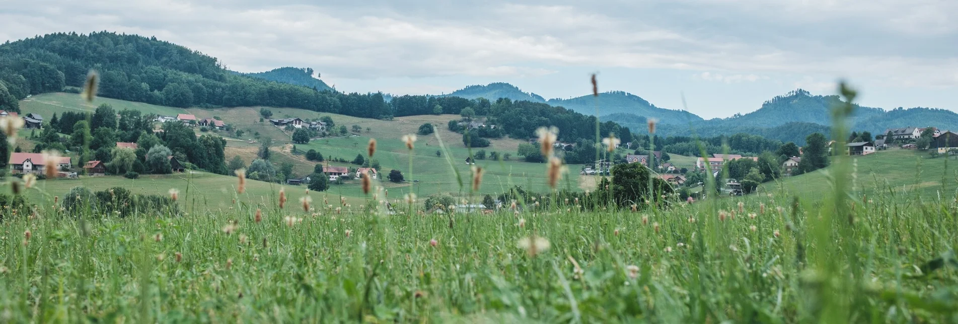 Wanderung Zisterzienserweg - Touren-Impression #1