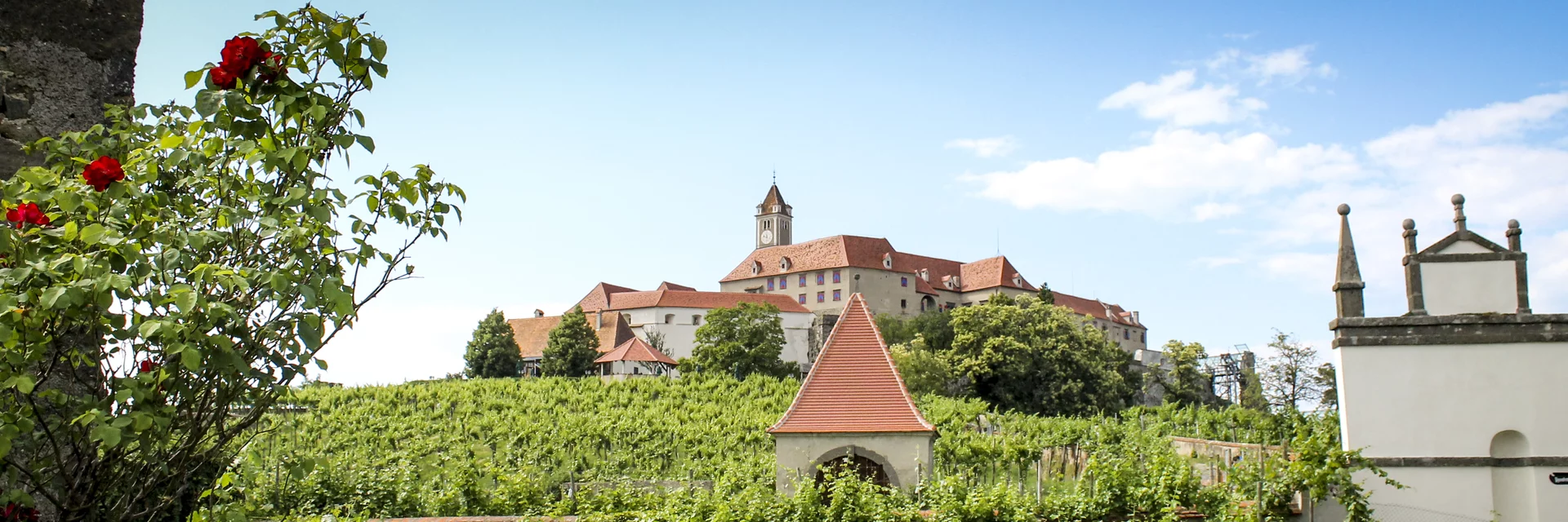 Riegersburg mit Weingarten | © STG | Günther Steininger Riegersburg mit Weingarten | © STG | Günther Steininger