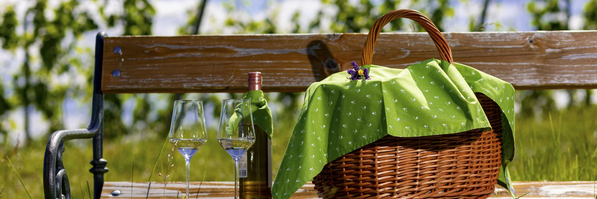 Picknick im Weingarten | © STG | Harry Schiffer Picknick im Weingarten | © STG | Harry Schiffer