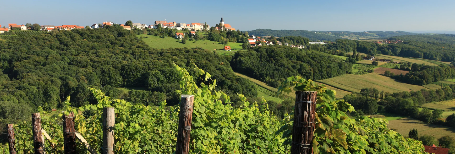 Klöcher Weinstraße mit Blick auf St. Anna am Aigen | © Vino Cool | Schiffer-Symbol