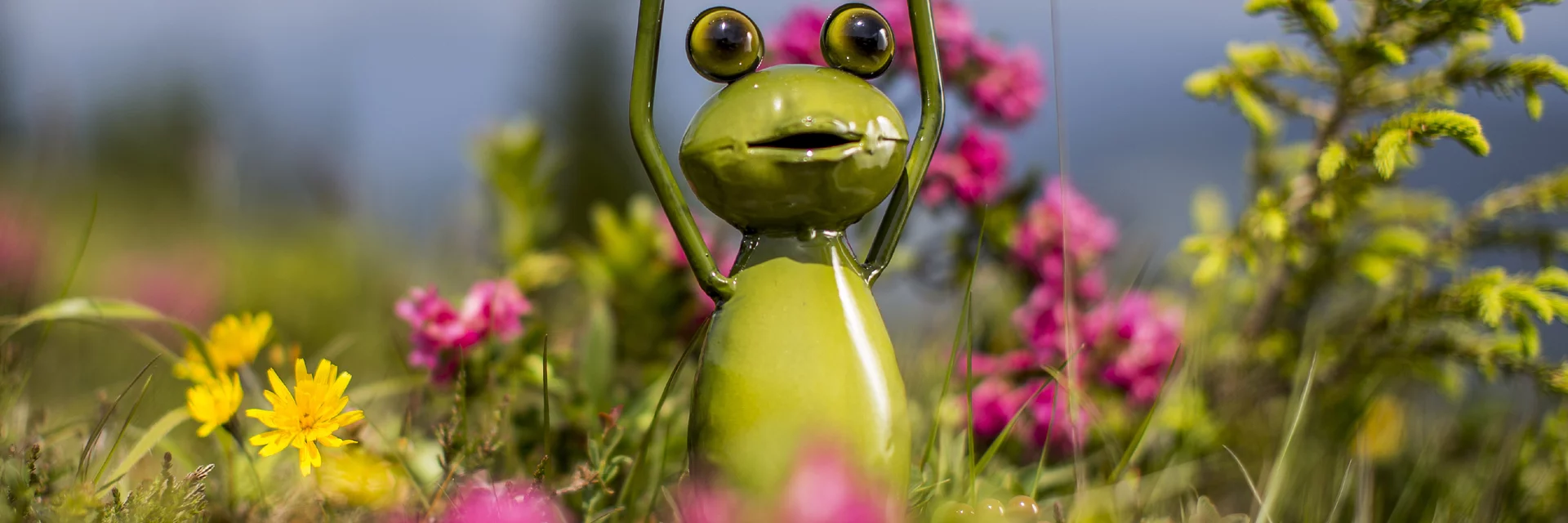 Steiermark-Wetterfrosch zur Almrauschblüte | © STG | Tom Lamm
