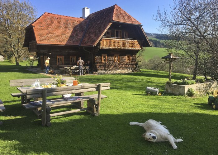 Holidays with a dog | © Steiermark Tourismus | Amra Candic