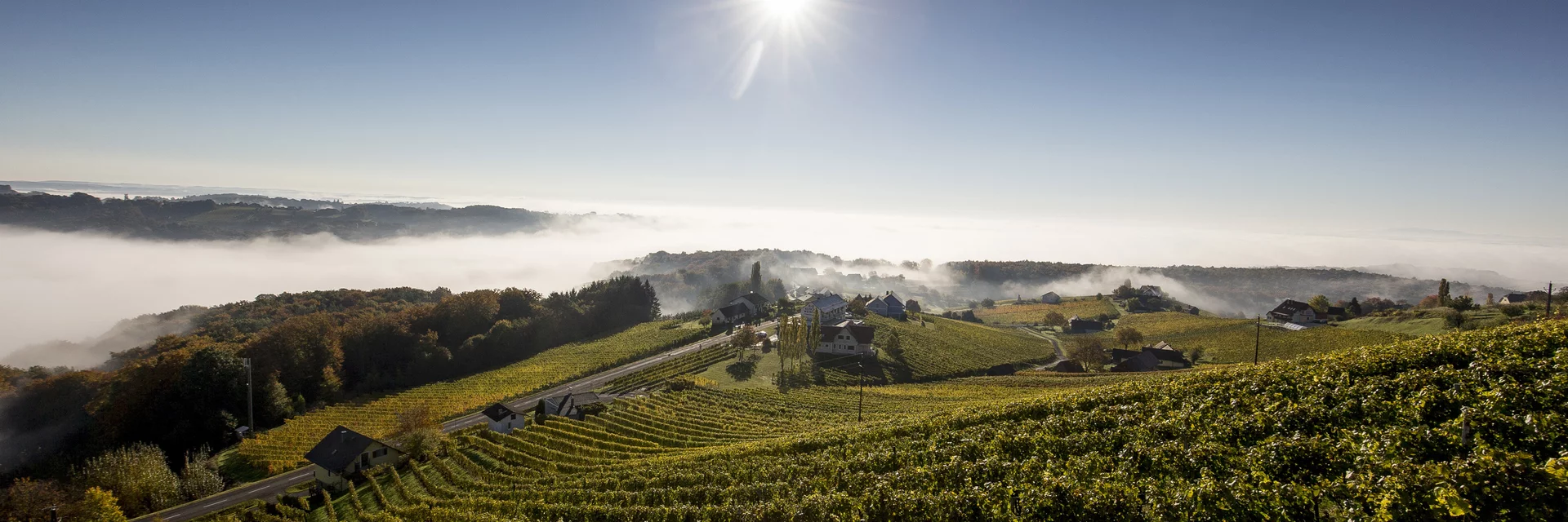 Weinlandschaft rund um Klöch im Morgenlicht, Südoststeiermark | © STG | Tom Lamm Weinlandschaft rund um Klöch im Morgenlicht, Südoststeiermark | © STG | Tom Lamm