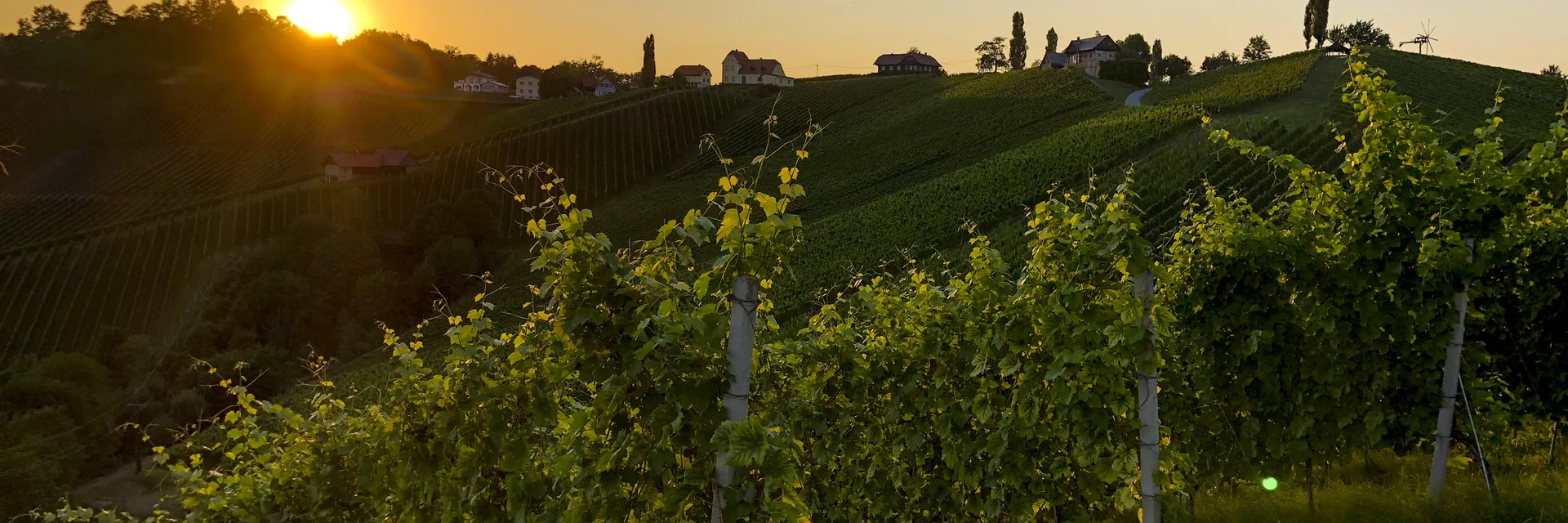 Südsteiermark: Wanderroute "Vom Gletscher zum Wein" (Etappe 24, Südroute) | © STG | Martina Traisch Südsteiermark: Wanderroute "Vom Gletscher zum Wein" (Etappe 24, Südroute) | © STG | Martina Traisch