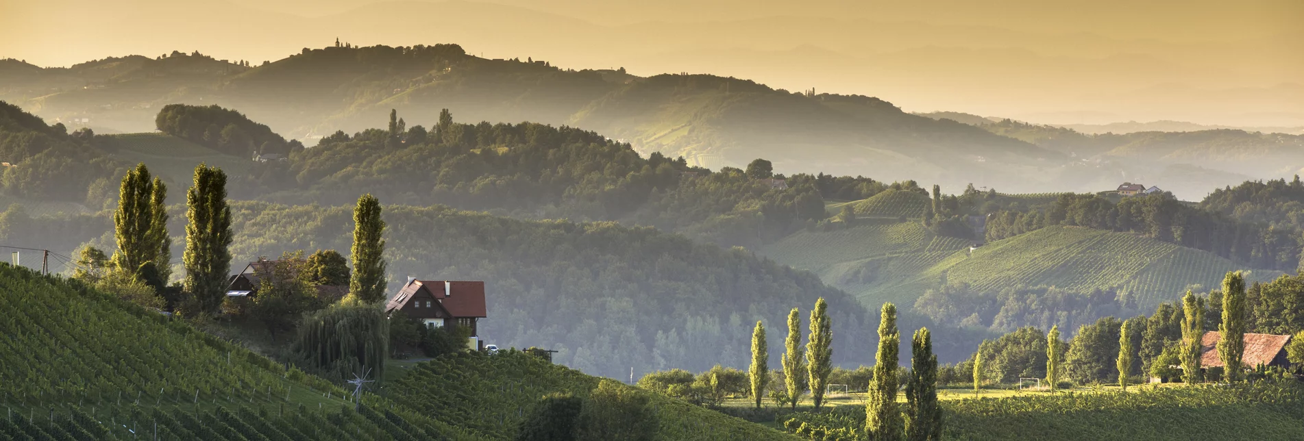 Südsteiermark | © STG | Harry Schiffer