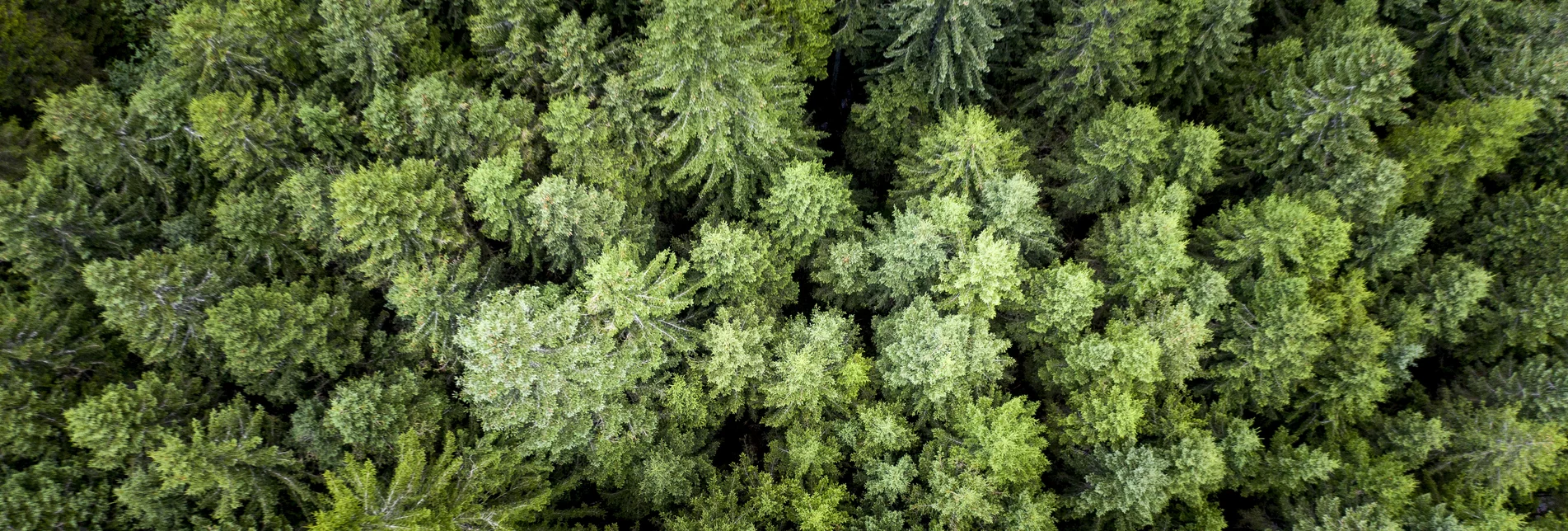 Die Steiermark - das Grüne Herz Österreichs | © STG | Tom Lamm Die Steiermark - das Grüne Herz Österreichs | © STG | Tom Lamm