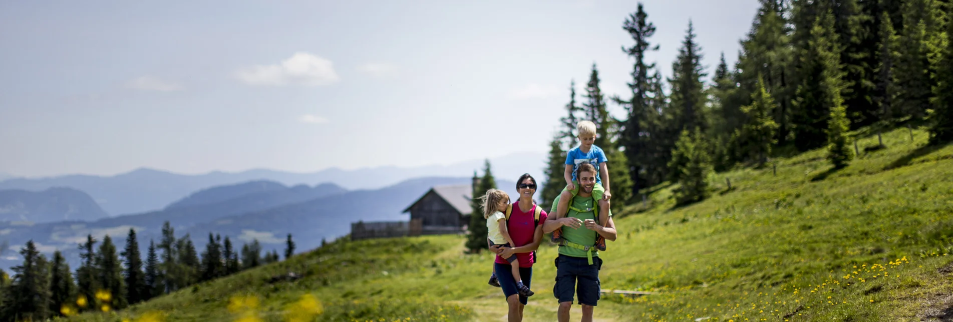Spring hike to the Almrauschblüte at the Frauenalpe | © Steiermark Tourismus | Tom Lamm