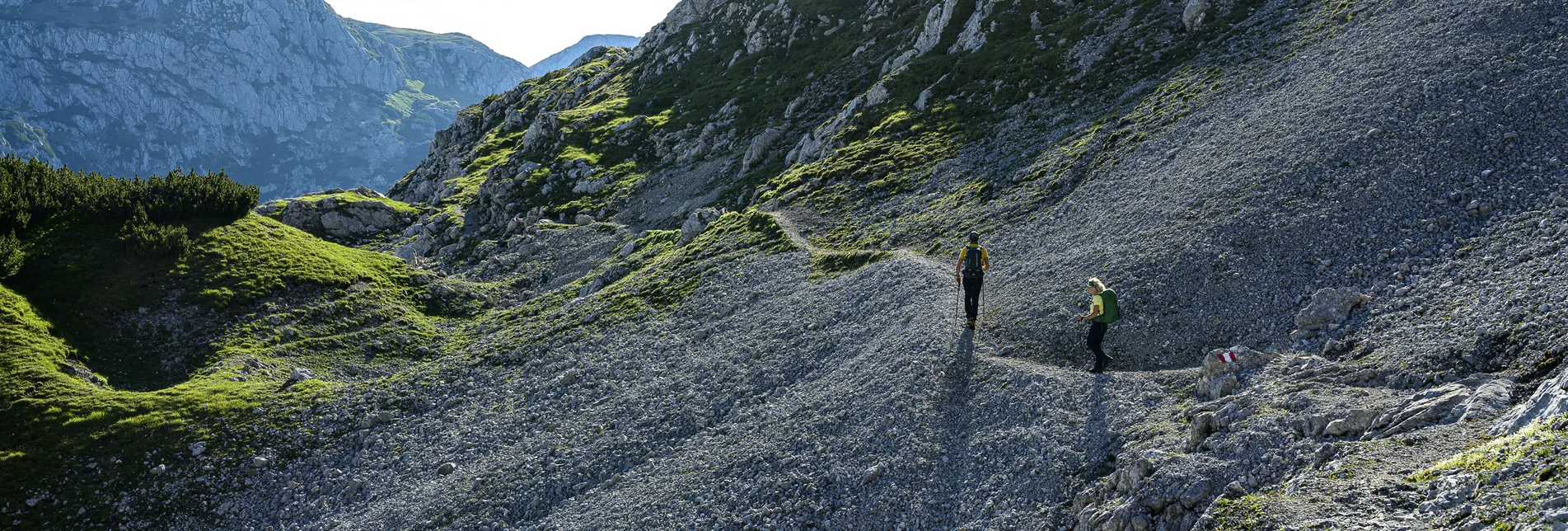 On the way from Guttenberghaus to Stoderzinken | © Steiermark Tourismus | pixelmaker.at