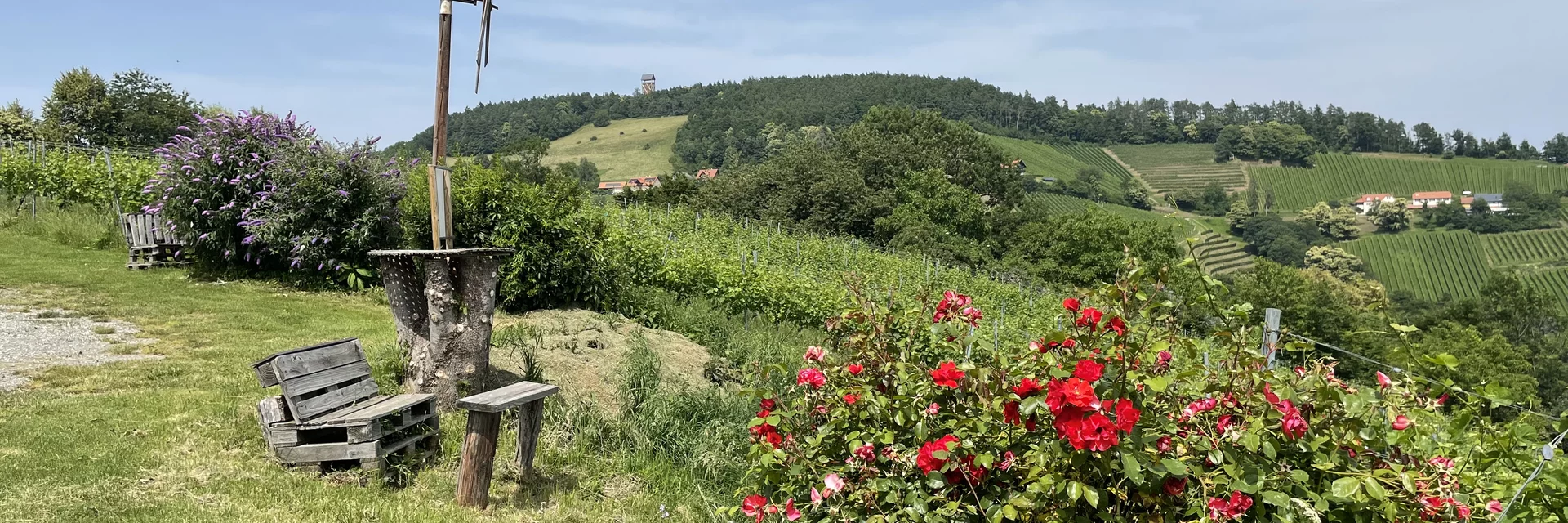 Blick zur Demmerkogelwarte | © Steiermark Tourismus | Lisa Anderle Blick zur Demmerkogelwarte | © Steiermark Tourismus | Lisa Anderle