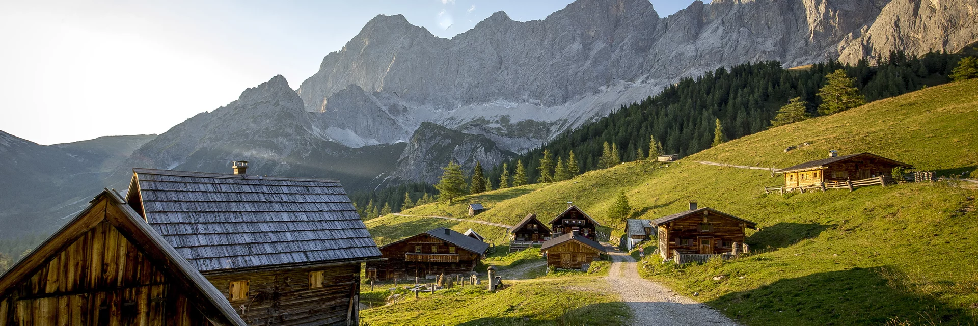 Neustattalm am Fuße des Dachsteins, Ramsau am Dachstein | © c Steiermark Tourismus / ikarus.cc | Tom Lamm Neustattalm am Fuße des Dachsteins, Ramsau am Dachstein | © c Steiermark Tourismus / ikarus.cc | Tom Lamm
