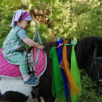 ABC-Hufis-Pony1-Murtal-Steiermark | © Martina Hochfellner