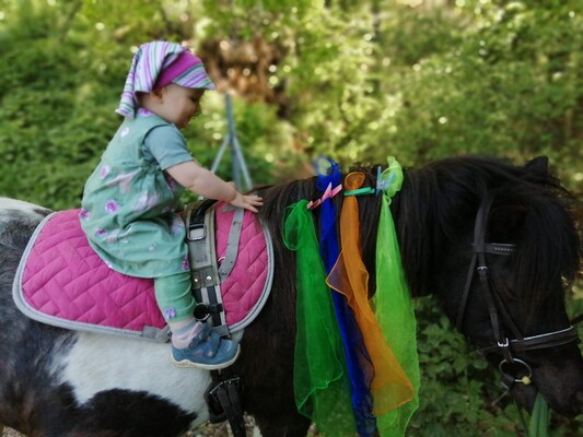 ABC-Hufis-Pony1-Murtal-Steiermark | © Martina Hochfellner