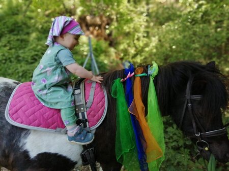 ABC-Hufis-Pony1-Murtal-Steiermark | © Martina Hochfellner
