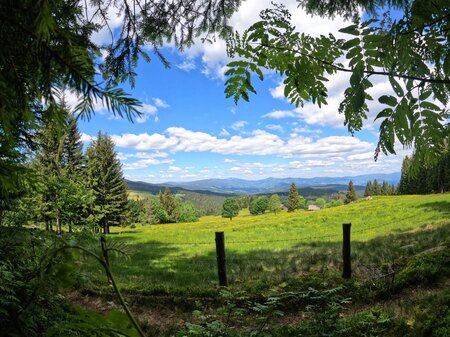 IMG-20220616-WA0056