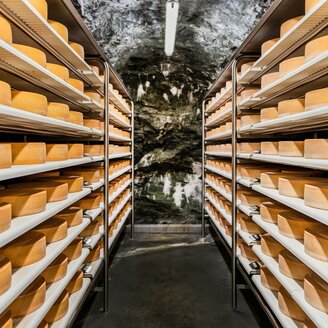 Stollenkäse_im Stollen_Oststeiermark | © Almenland Stollenkäse