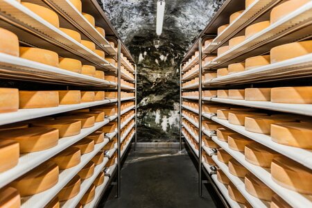 Stollenkäse_im Stollen_Oststeiermark | © Almenland Stollenkäse