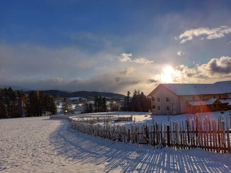 Pircherhof_Winterlandschaft_Oststeiermark