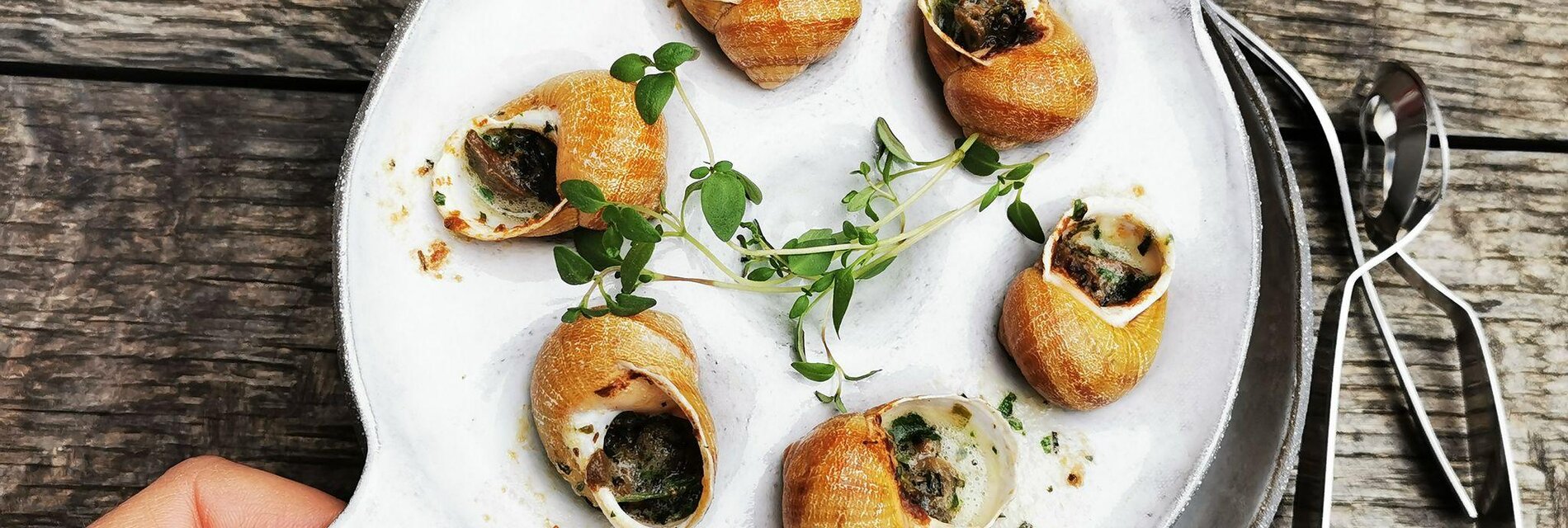 Snail tasting at the Biovinothek Monschein | © monschein