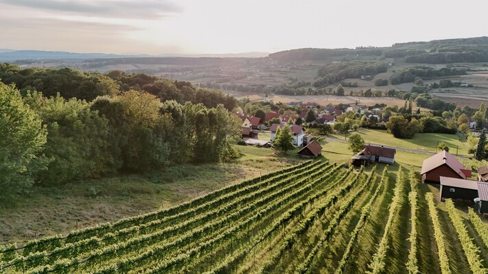 View over Tieschen | © Wein & Genuss Hopfer