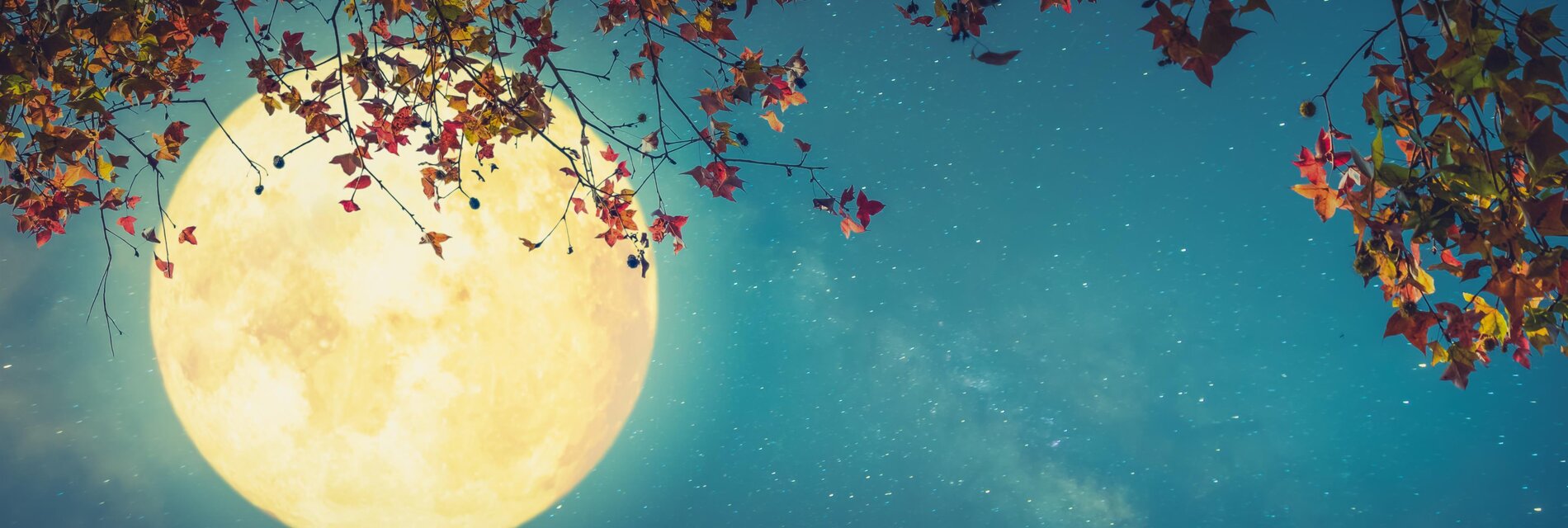 Full moon hike | © Das Kurhaus Bad Gleichenberg GmbH