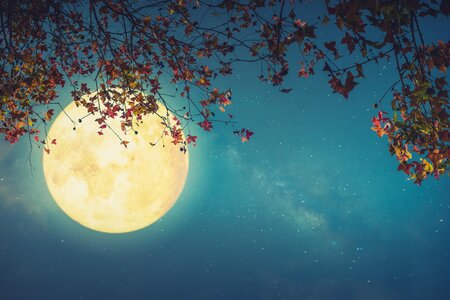 Full moon hike | © Das Kurhaus Bad Gleichenberg GmbH