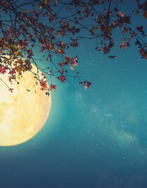 Full moon hike | © Das Kurhaus Bad Gleichenberg GmbH | © Das Kurhaus Bad Gleichenberg GmbH