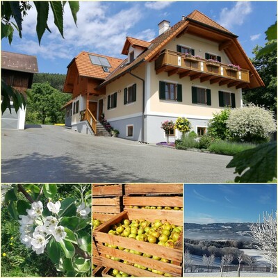 Bauernhof Buchegger_Außenansicht_Oststeiermark | © Bauernhof Buchegger
