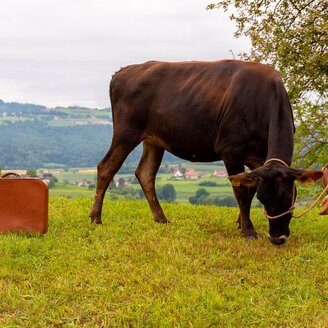 Naturparkpatrner | © RMSW Naturparkpartner