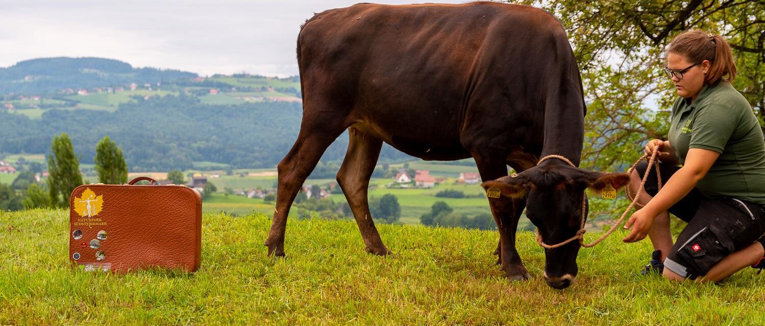 Naturparkpatrner | © RMSW Naturparkpartner