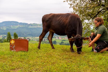 Naturparkpatrner | © RMSW Naturparkpartner