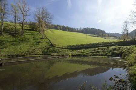 Karl-Wirt_Teich_Oststeiermark | © Gasthaus Karl-Wirt