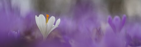 DSC02860