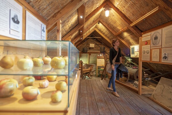 Haus des Apfels_Museum1_ Oststeiermark