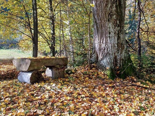 Wald