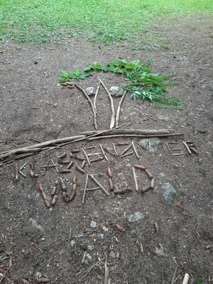 Waldbild_Pöllau_ Oststeiermark | © Klassenzimmer Wald