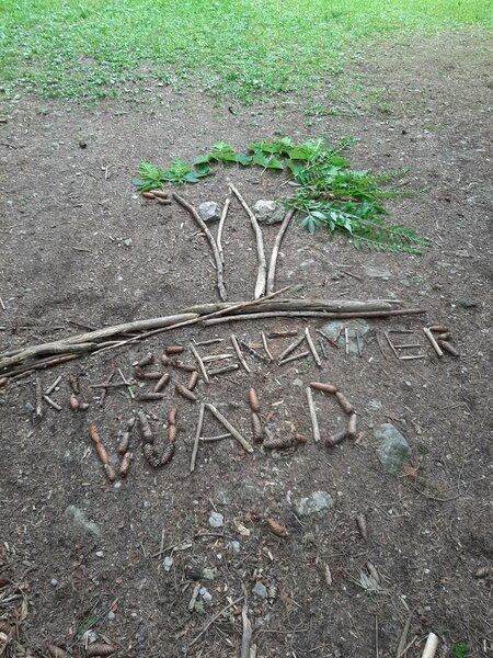 Waldbild_Pöllau_ Oststeiermark | © Klassenzimmer Wald