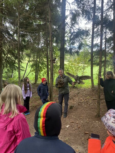 Wald_Pöllau_Oststeiermark | © Klassenzimmer Wald
