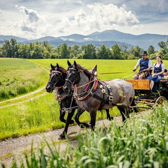 Deutinger-Kutsche3-Murtal-Steiermark | © Anita Fössl