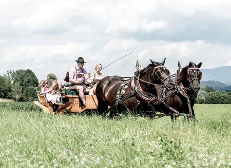 Deutinger-Kutschenfahrt-Murtal-Steiermark | © Anita Fössl