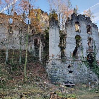 "Lost Place" Burgruine  Waxenegg