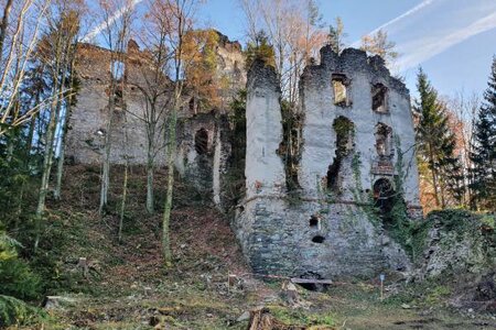 "Lost Place" Burgruine  Waxenegg